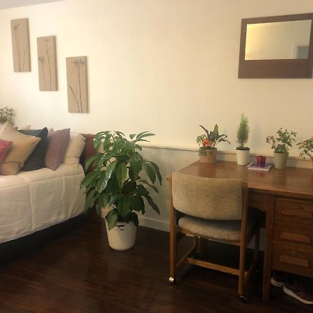 Quiet-Comfy 3 Bedroom Home On A Tree Lined Street In Kits Vancouver Exteriör bild