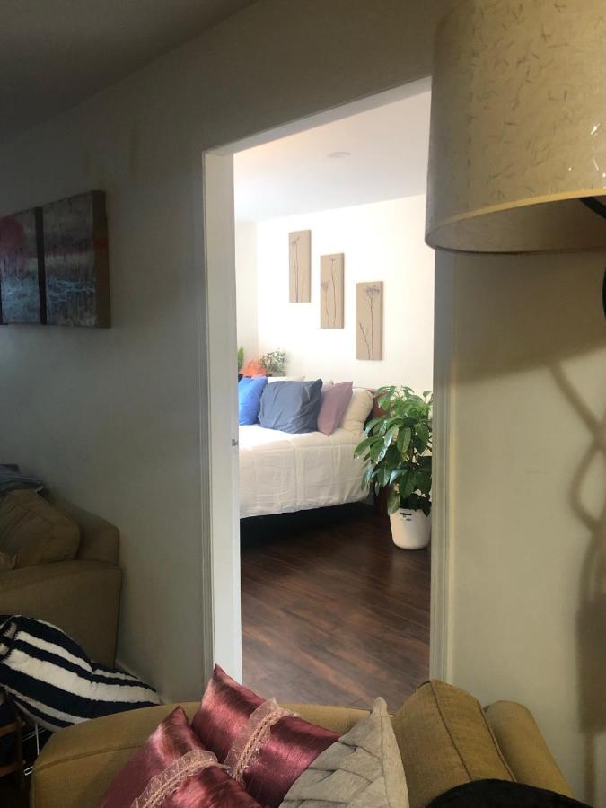 Quiet-Comfy 3 Bedroom Home On A Tree Lined Street In Kits Vancouver Exteriör bild