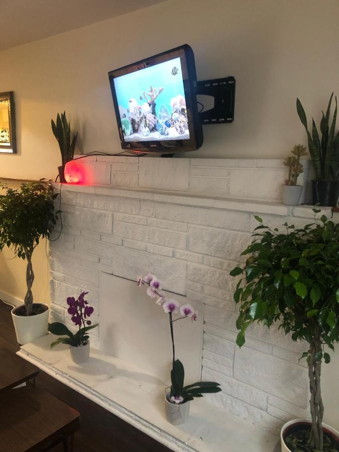Quiet-Comfy 3 Bedroom Home On A Tree Lined Street In Kits Vancouver Exteriör bild
